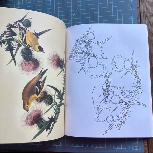 The Beauties of Nature Coloring Book: Flowers, Birds, Butterflies, & Wildlife - Picture 5 of 12